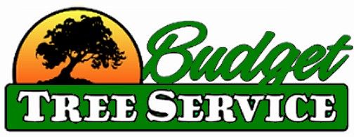 budget tree service